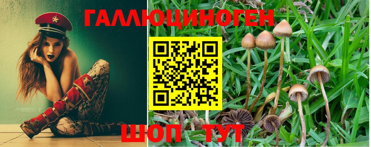 Ростов-на-Дону  хочу наркоту  Вход с VPN  Псилоцибиновые грибы Magic Shrooms 